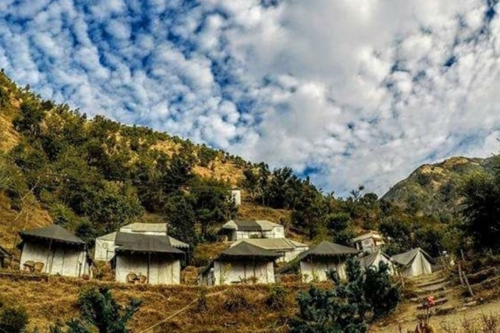 Hotel & Resorts