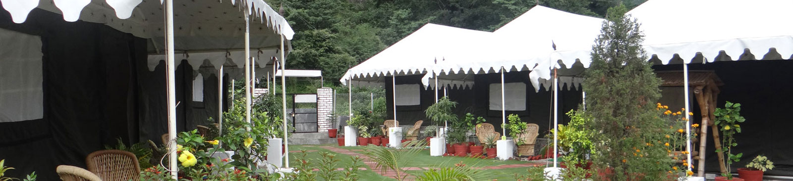 Hotel & Resorts